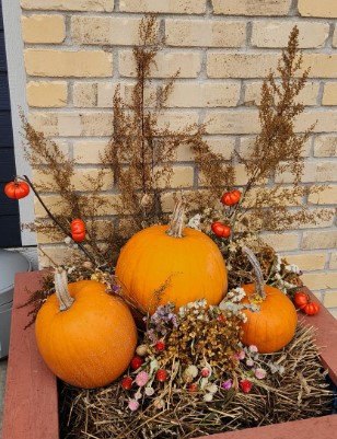 pumpkins and dried flowers