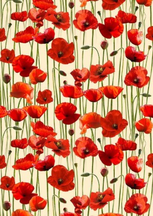 poppies