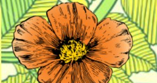 orange flower on green leaf background
