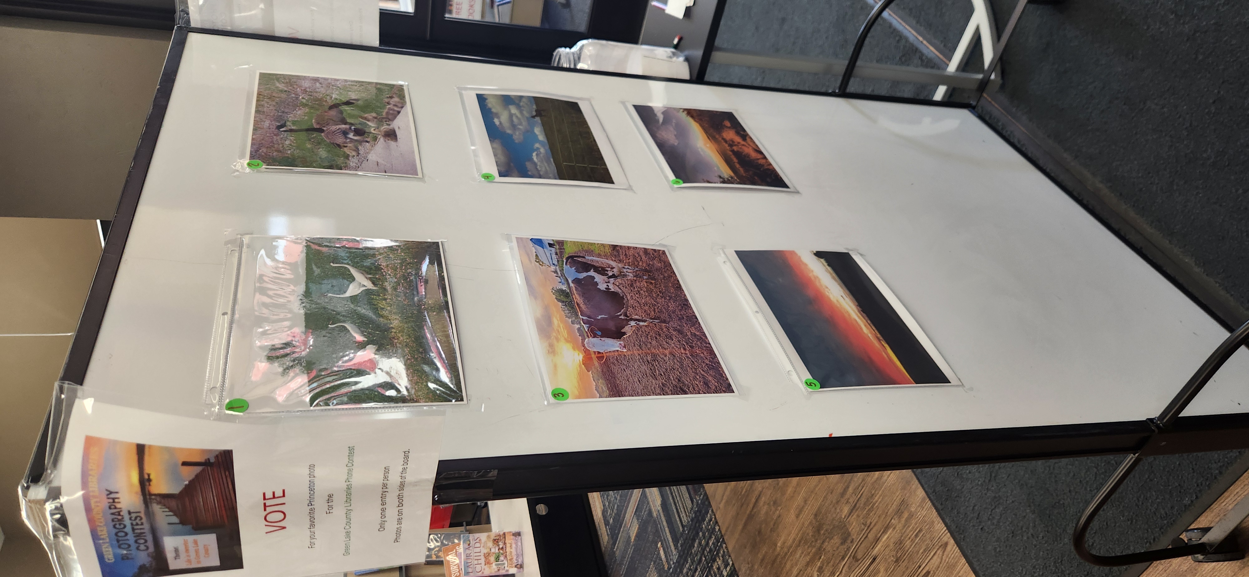 2nd wall of photos