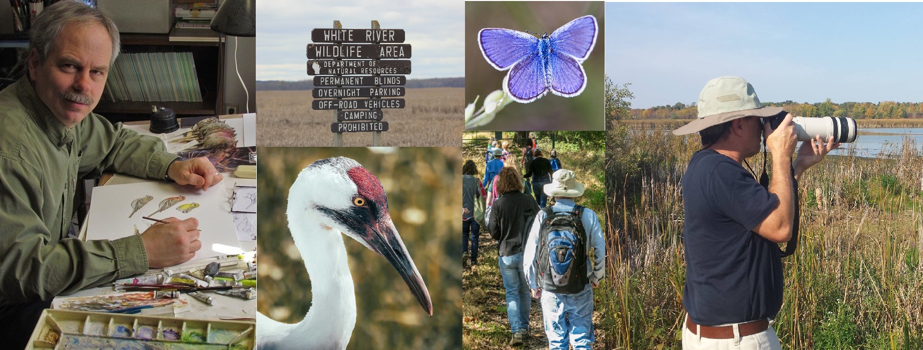 whooping crane, naturalists, blue butterfly