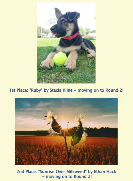 photo winners