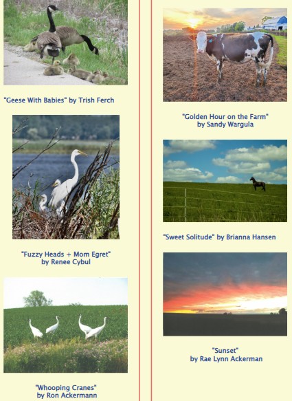 photo contest participants