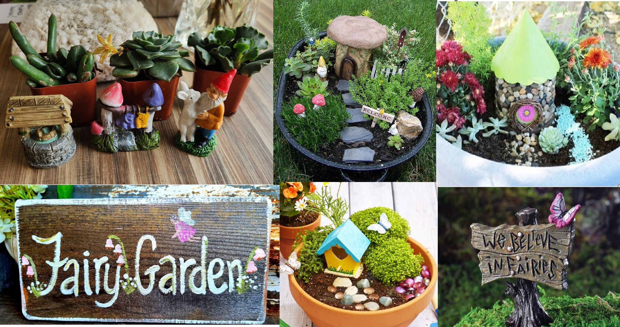 fairy gardens