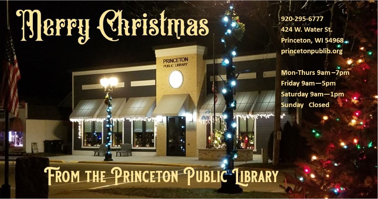 merry christmas exterior library with christmas lights