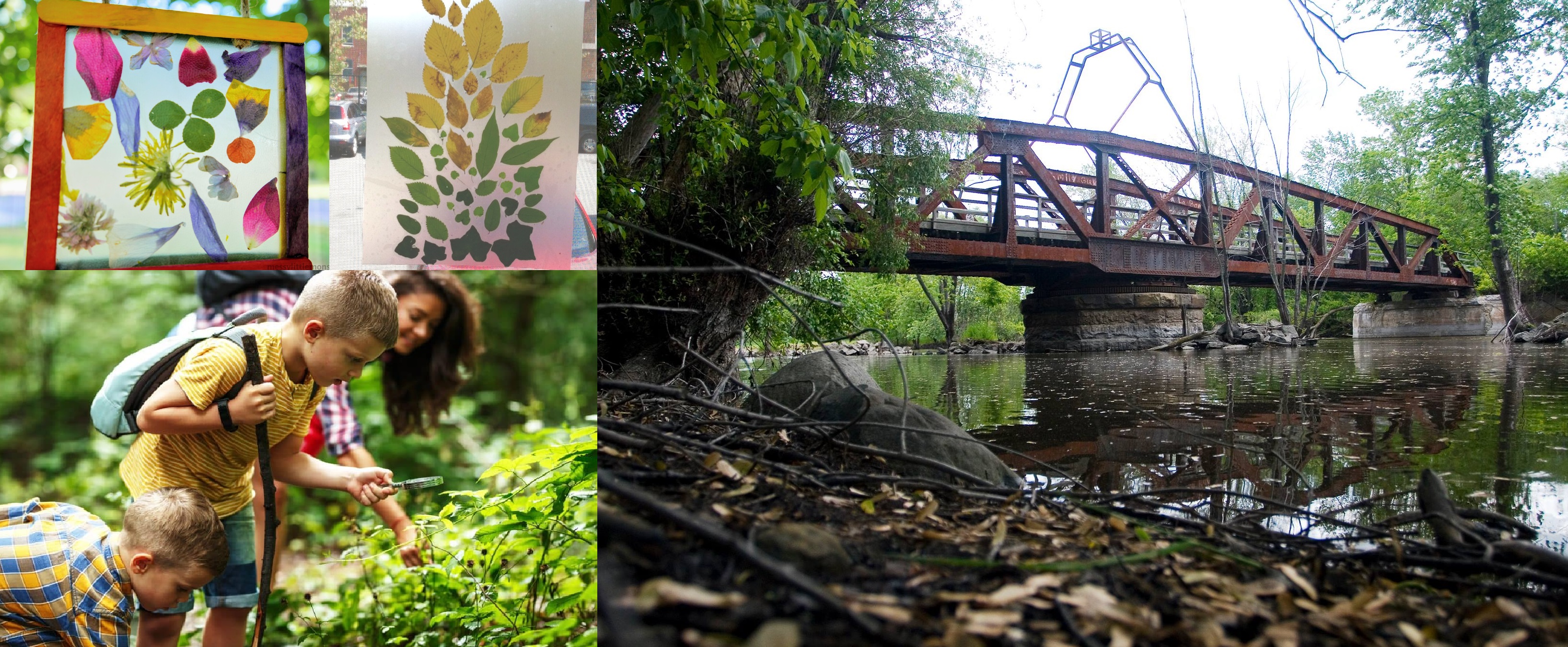 kids collecting natural objects on the black bridge trail to use in art projects