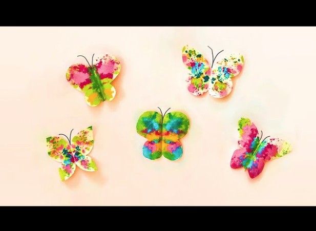 butterflies with colorful wings
