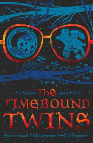 book cover of The Timebound Twins