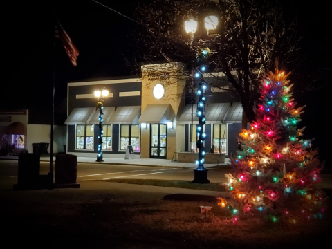library with Christmas lights
