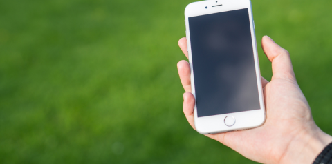 Holding a Phone